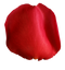 Red Rose Petals PNG High Quality Image