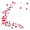 Red Rose Petals PNG Photo