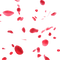 Red Rose Petals PNG Picture