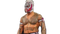 Rey Mysterio Wrestler