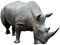 Rhinoceros Free PNG Image