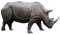 Rhinoceros Transparent