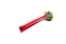 Rhubarb PNG Download Image