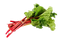 Rhubarb PNG HD Image