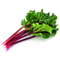 Rhubarb PNG High Quality Image