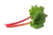 Rhubarb PNG Image