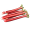 Rhubarb PNG