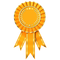 Ribbon Award PNG