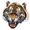 Roar PNG High Quality Image