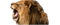 Roar PNG Image HD