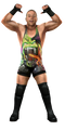 Rob Van Dam PNG