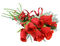 Rose Bouquet PNG File