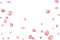 Rose Petals PNG High Quality Image