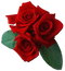 Rose PNG File