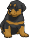 Rottweiler Dog PNG Image