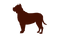 Rottweiler Dog PNG