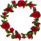 Round Floral PNG High Quality Image