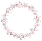 Round Floral PNG