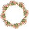 Round Flower Frame Transparent