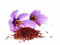 Saffron PNG Free Image