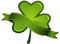 Saint Patrick&#8217;s Day PNG HD