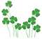 Saint Patrick&#8217;s Day PNG