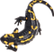 Salamander PNG Image File