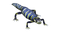 Salamander Transparent