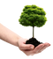 Save Tree PNG File