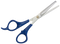 Scissor PNG File