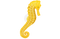 Seahorse PNG