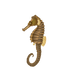 Seahorse Transparent