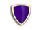 Security Shield Transparent