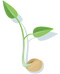 Seed PNG File