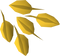 Seed PNG HD