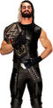 Seth Rollins PNG HD