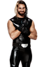 Seth Rollins PNG Image