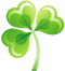 Shamrock PNG Pic