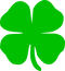 Shamrock PNG