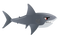 Shark PNG Clipart