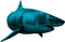 Shark PNG Image