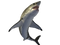 Shark PNG Picture