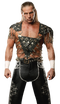 Shawn Michaels Free Download PNG