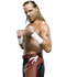 Shawn Michaels PNG Picture