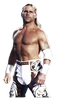 Shawn Michaels PNG