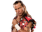 Shawn Michaels Transparent