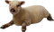 Sheep PNG HD