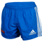 Shorts PNG