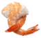 Shrimp PNG Free Download