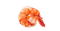 Shrimp PNG Picture